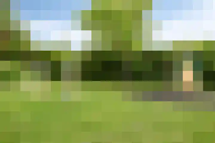 Van Overveststraat 6 Oud-Vossemeer thumbnail 36