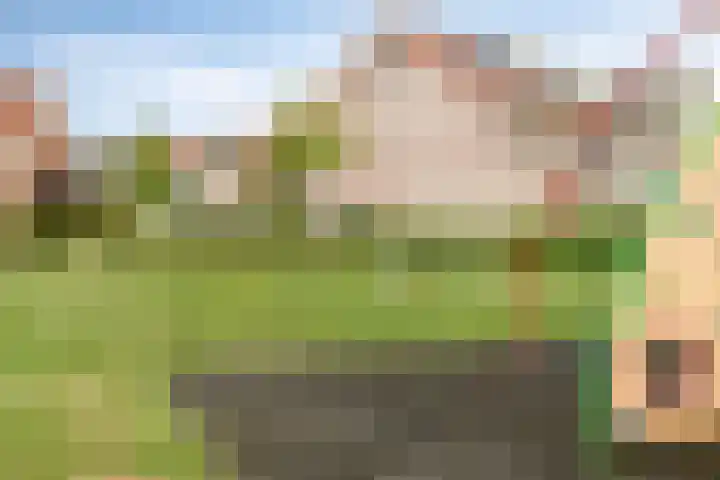 Van Overveststraat 6 Oud-Vossemeer thumbnail 37