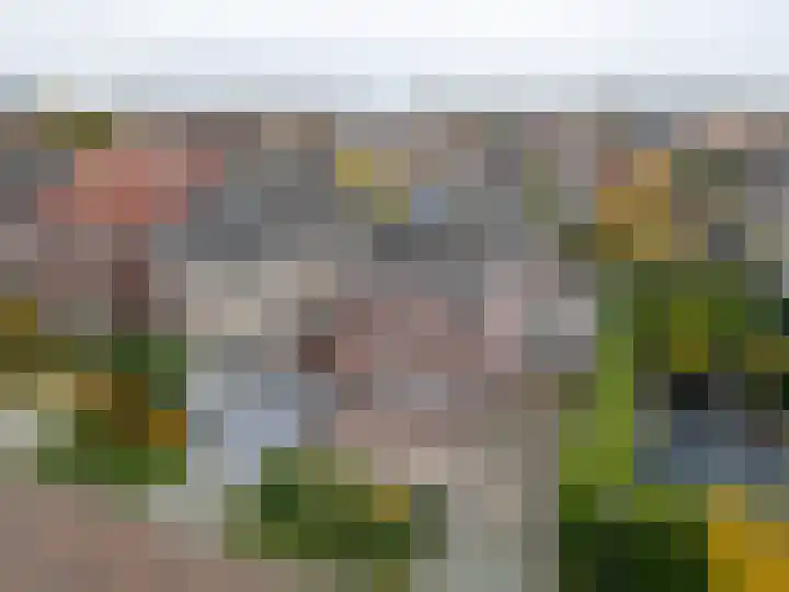 Van Overveststraat 6 Oud-Vossemeer thumbnail 38