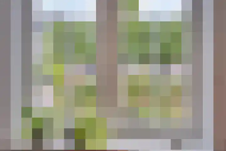 Van Overveststraat 8 Oud-Vossemeer thumbnail 12