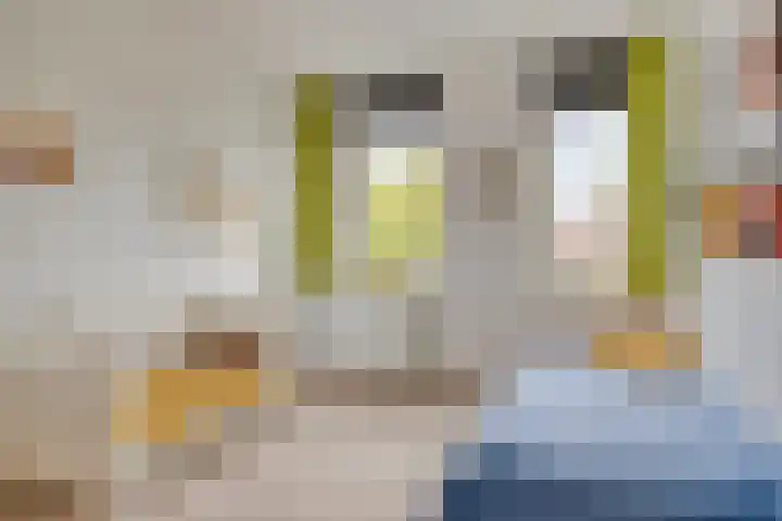 Van Overveststraat 8 Oud-Vossemeer thumbnail 28
