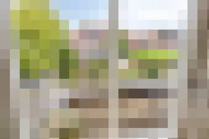 Van Overveststraat 8 Oud-Vossemeer thumbnail 30