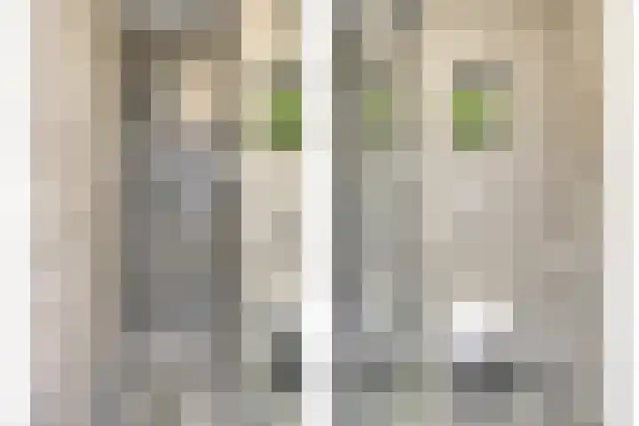 Van Overveststraat 8 Oud-Vossemeer thumbnail 34