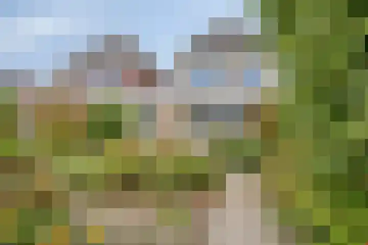 Van Overveststraat 8 Oud-Vossemeer thumbnail 47