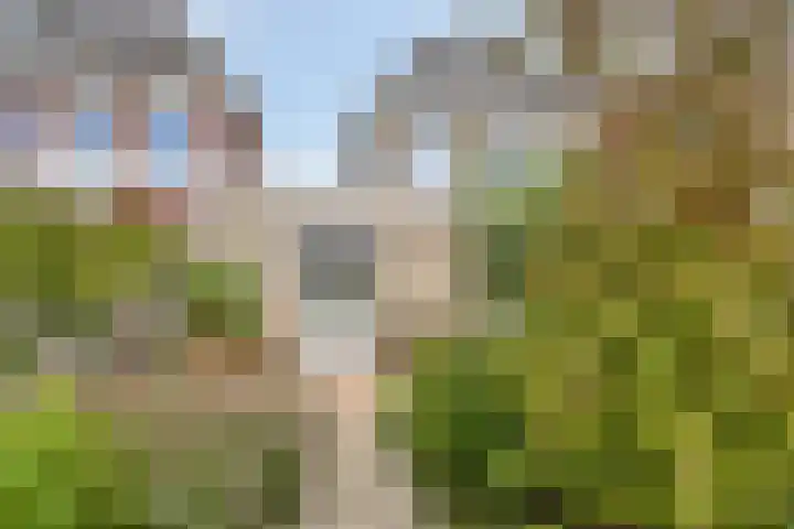 Van Overveststraat 8 Oud-Vossemeer thumbnail 48
