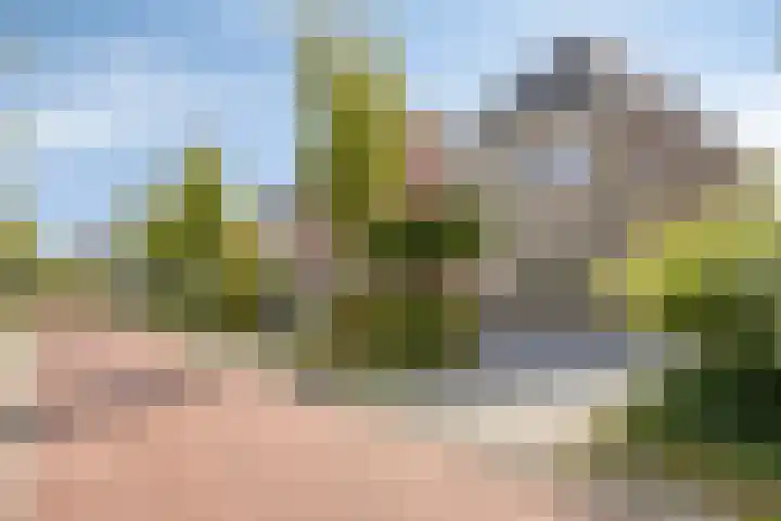 Van Overveststraat 8 Oud-Vossemeer thumbnail 5