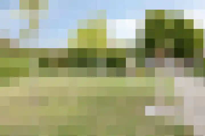 Van Overveststraat 8 Oud-Vossemeer thumbnail 50