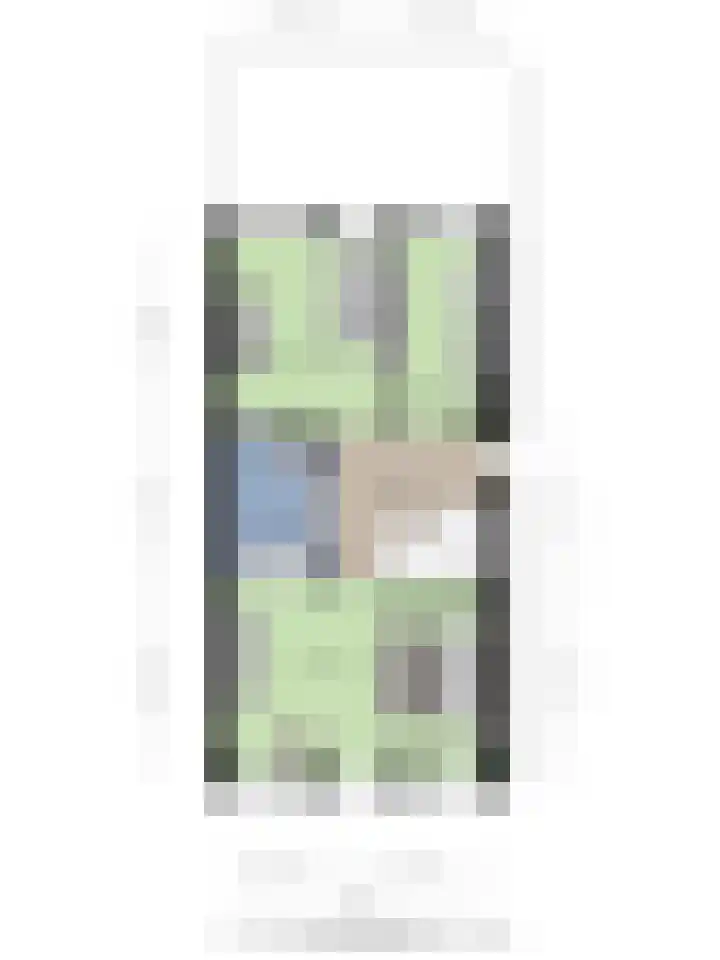 Van Overveststraat 8 Oud-Vossemeer thumbnail 60