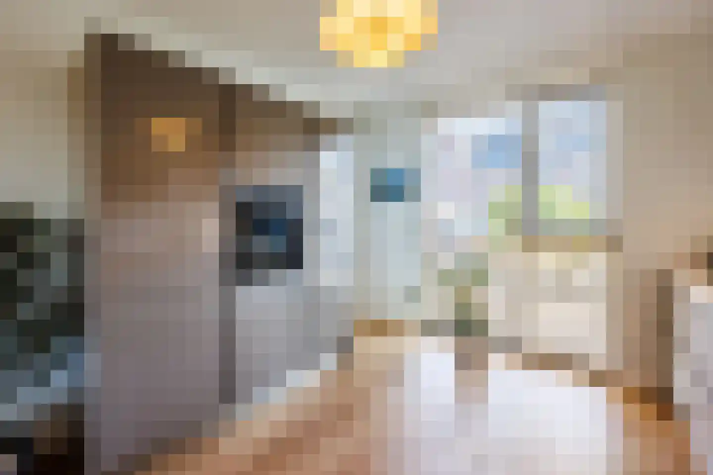 Van Paassenkade 3 Delft thumbnail 12