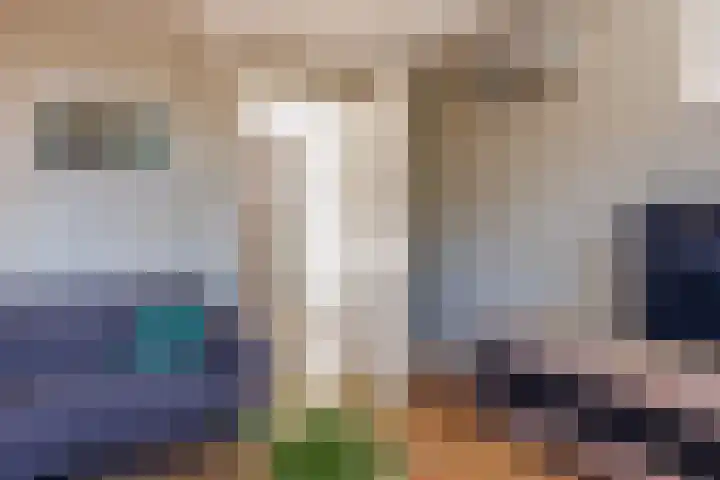 Van Paassenkade 3 Delft thumbnail 18