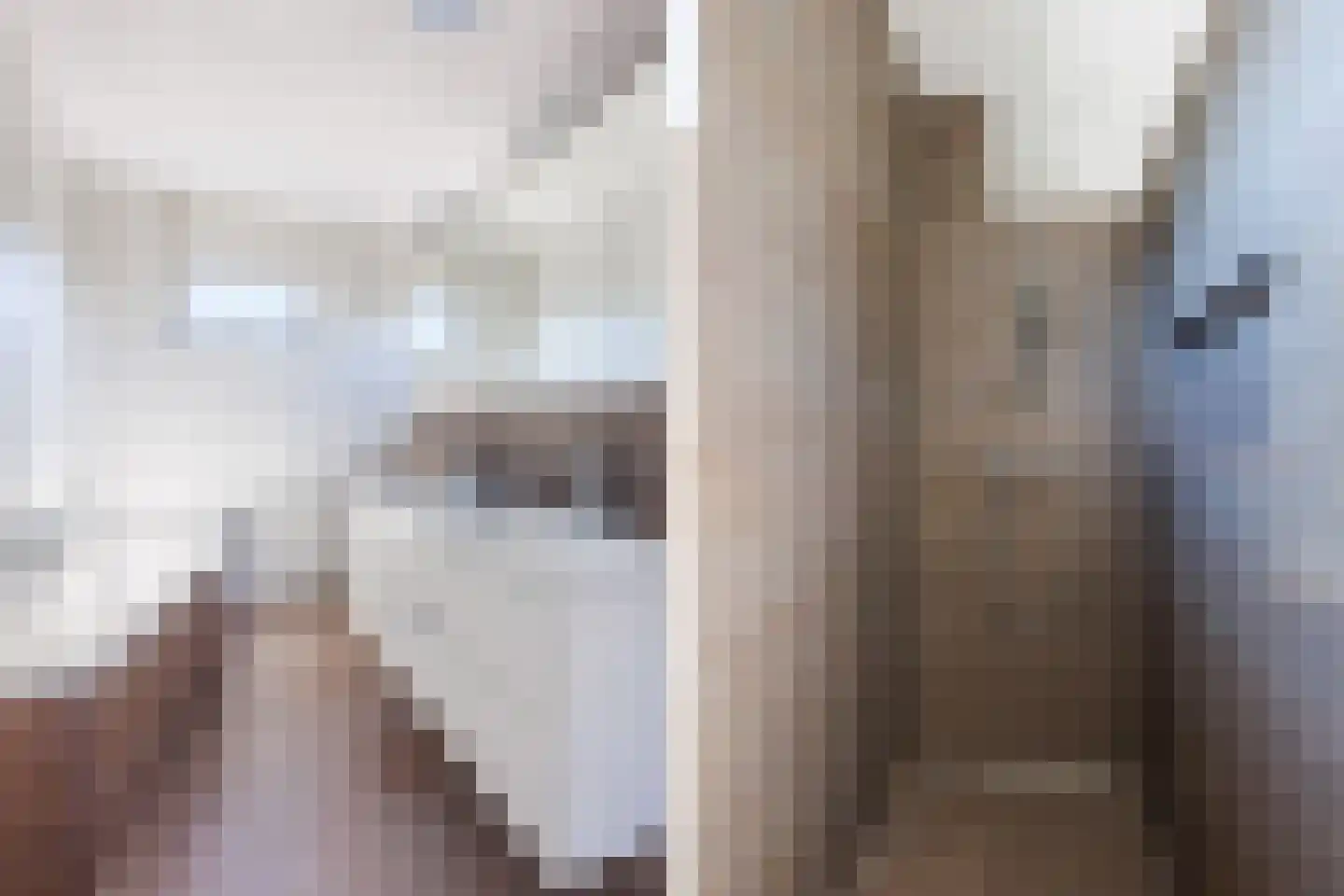 Van Paassenkade 3 Delft thumbnail 33