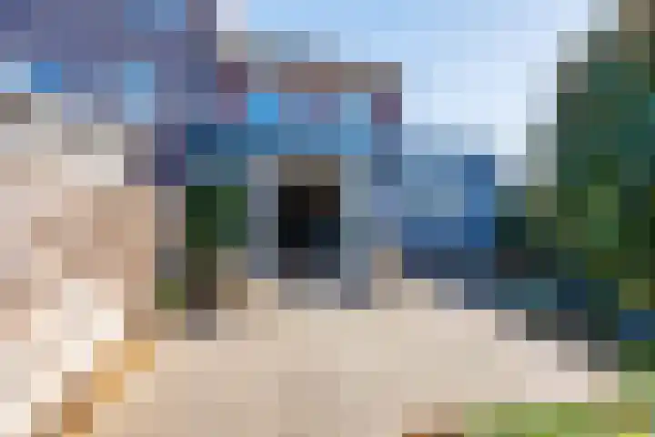 Van Paassenkade 3 Delft thumbnail 4