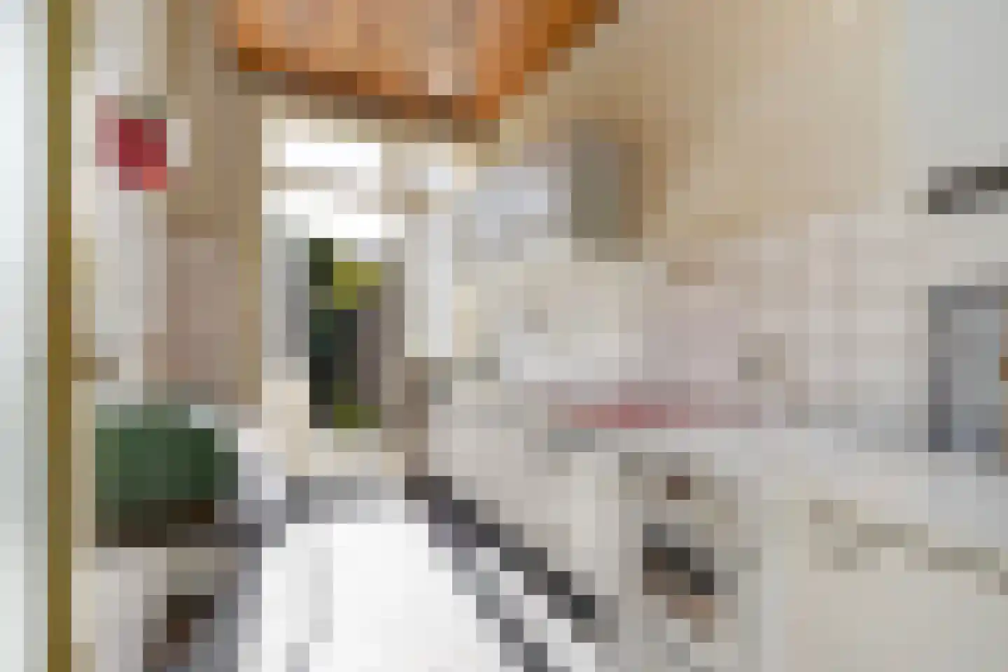 van Pabstlaan 22 Voorburg thumbnail 10