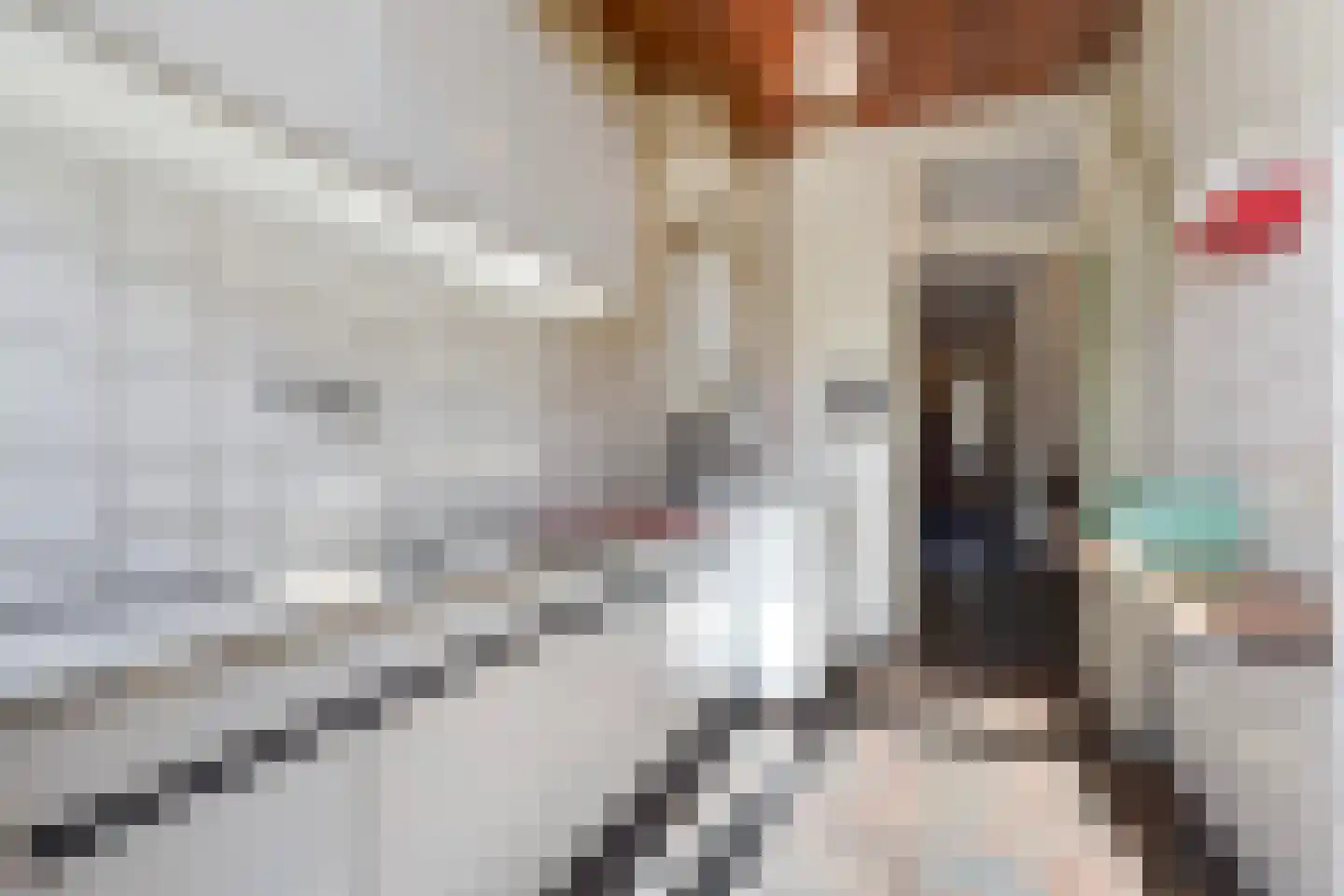van Pabstlaan 22 Voorburg thumbnail 11