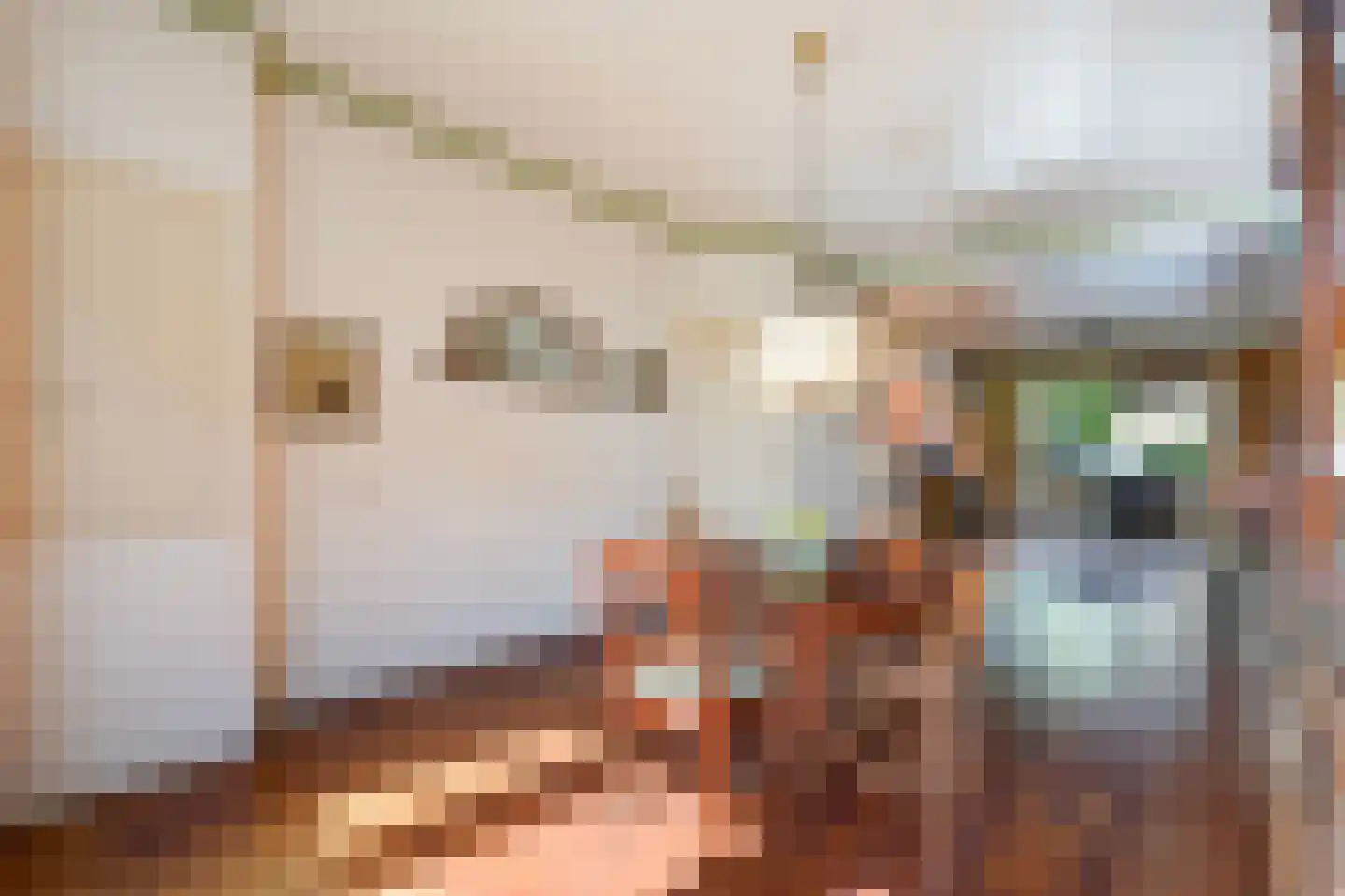 van Pabstlaan 22 Voorburg thumbnail 13
