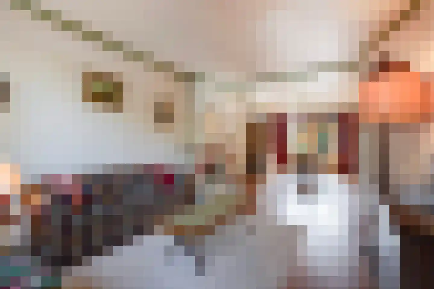 van Pabstlaan 22 Voorburg thumbnail 17