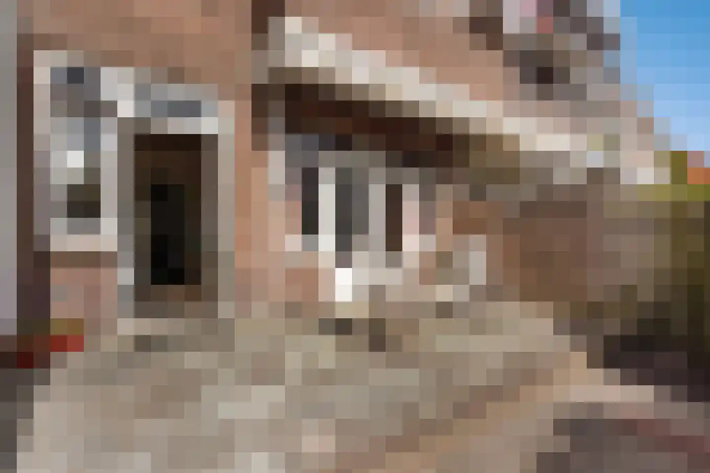 van Pabstlaan 22 Voorburg thumbnail 20
