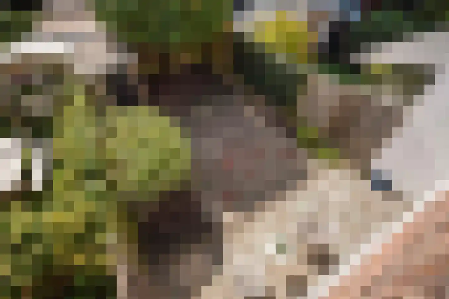 van Pabstlaan 22 Voorburg thumbnail 29