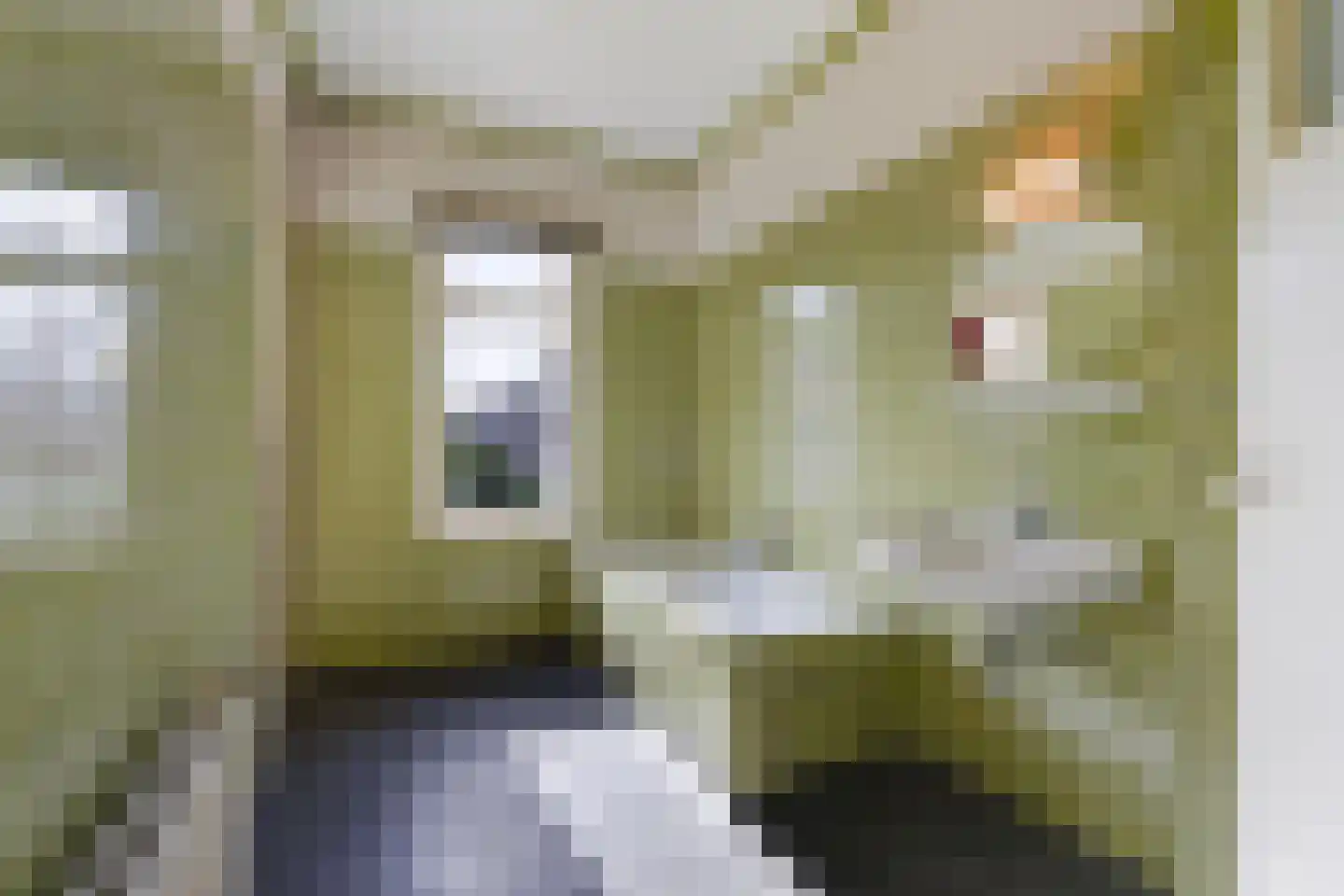 van Pabstlaan 22 Voorburg thumbnail 31