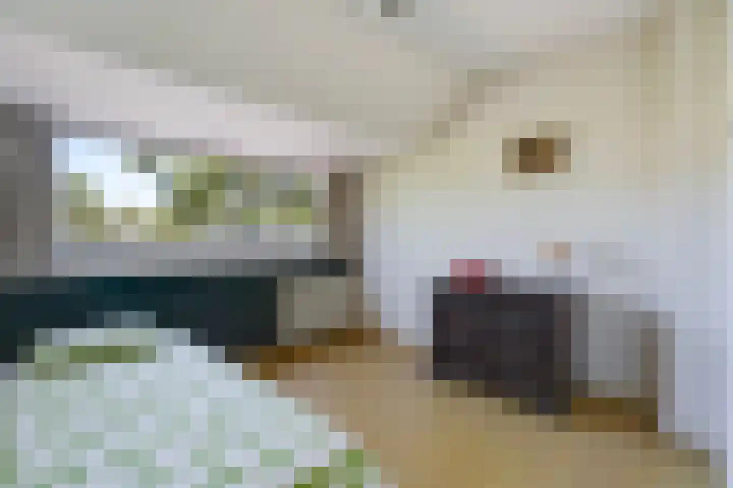 van Pabstlaan 22 Voorburg thumbnail 37