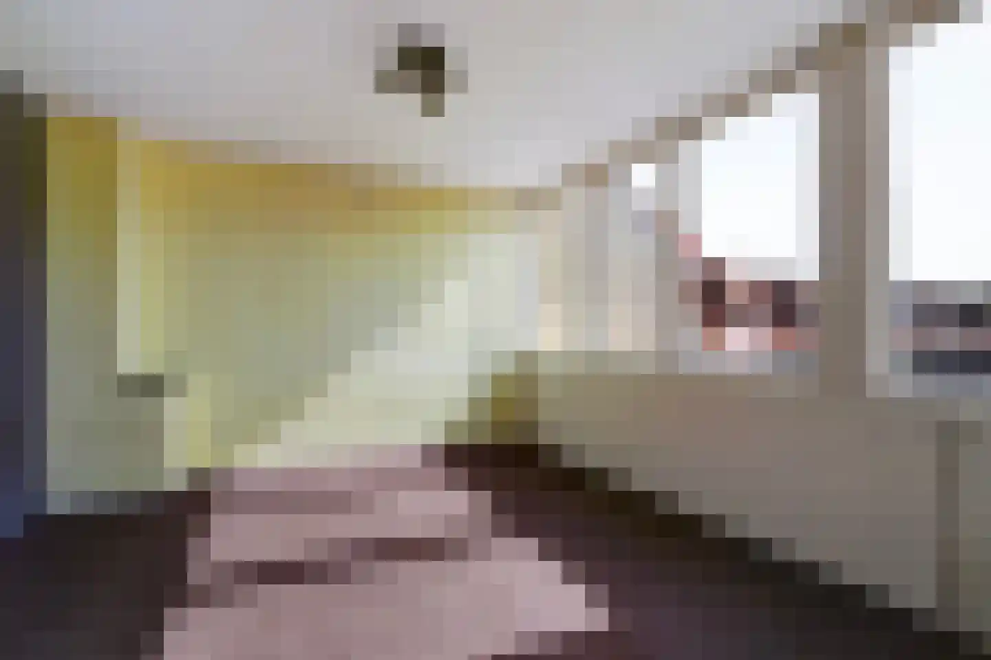 van Pabstlaan 22 Voorburg thumbnail 43