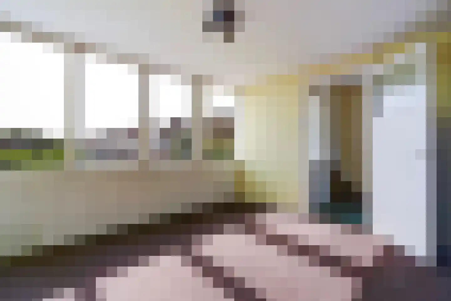 van Pabstlaan 22 Voorburg thumbnail 44