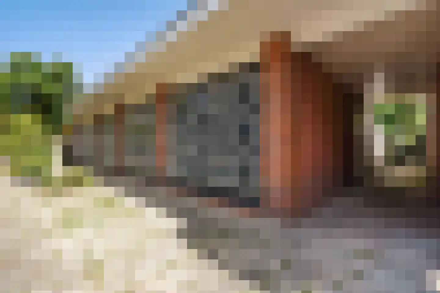 van Pabstlaan 22 Voorburg thumbnail 47