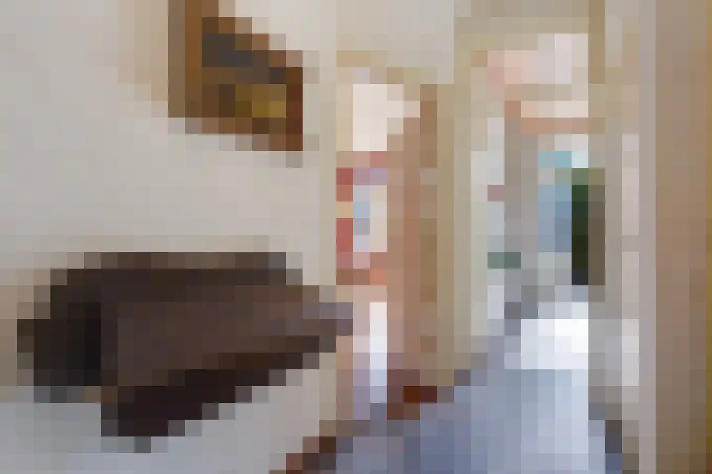van Pabstlaan 22 Voorburg thumbnail 8