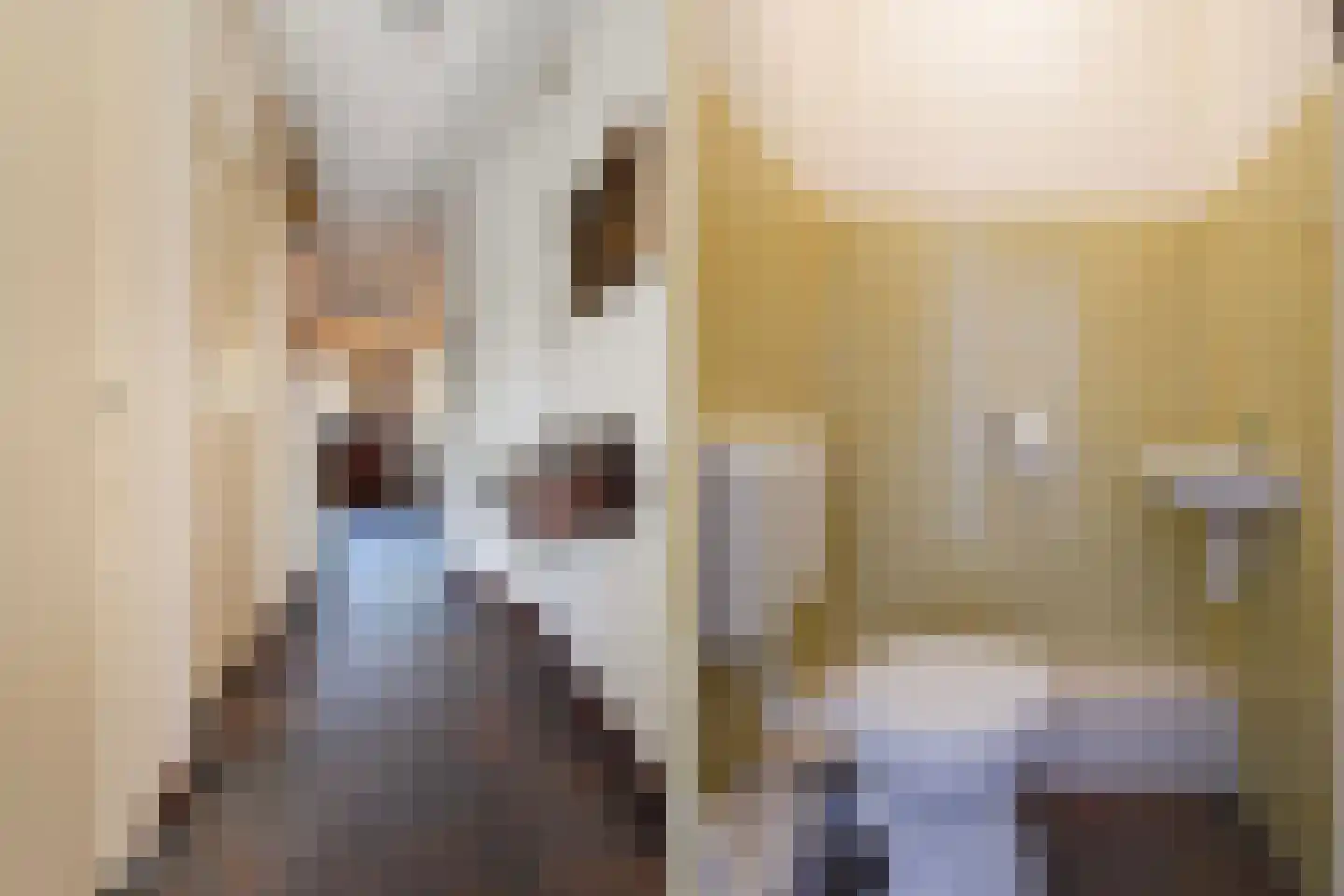 van Pabstlaan 22 Voorburg thumbnail 9