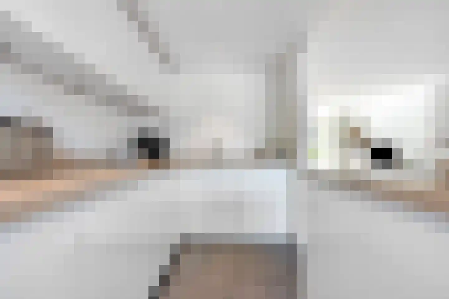 van Pabstlaan 7 Voorburg thumbnail 14