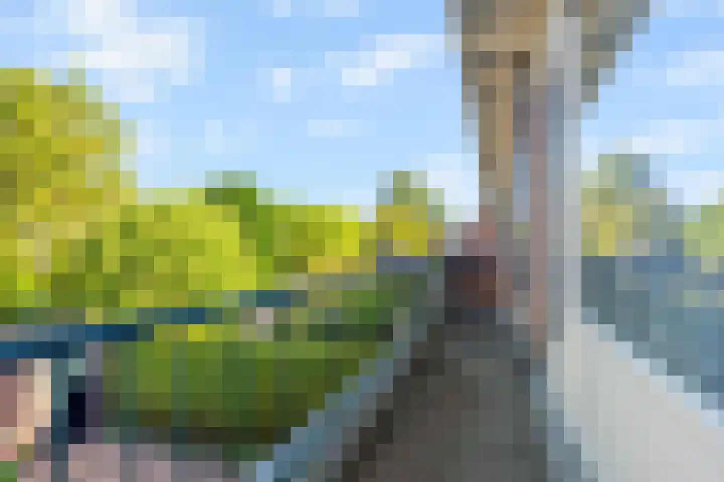 van Pabstlaan 7 Voorburg thumbnail 20