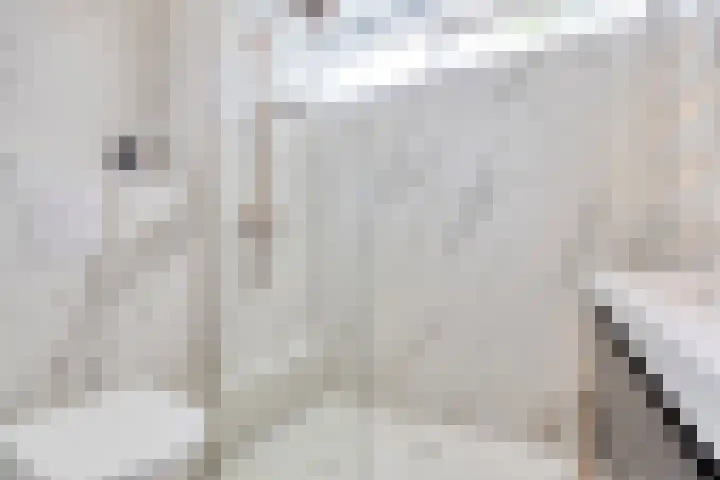 van Pabstlaan 7 Voorburg thumbnail 22