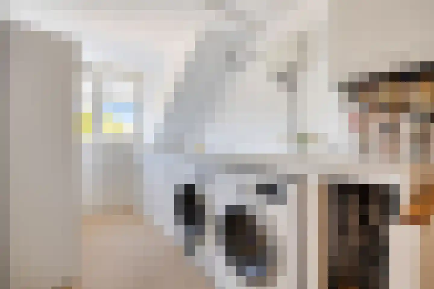 van Pabstlaan 7 Voorburg thumbnail 29