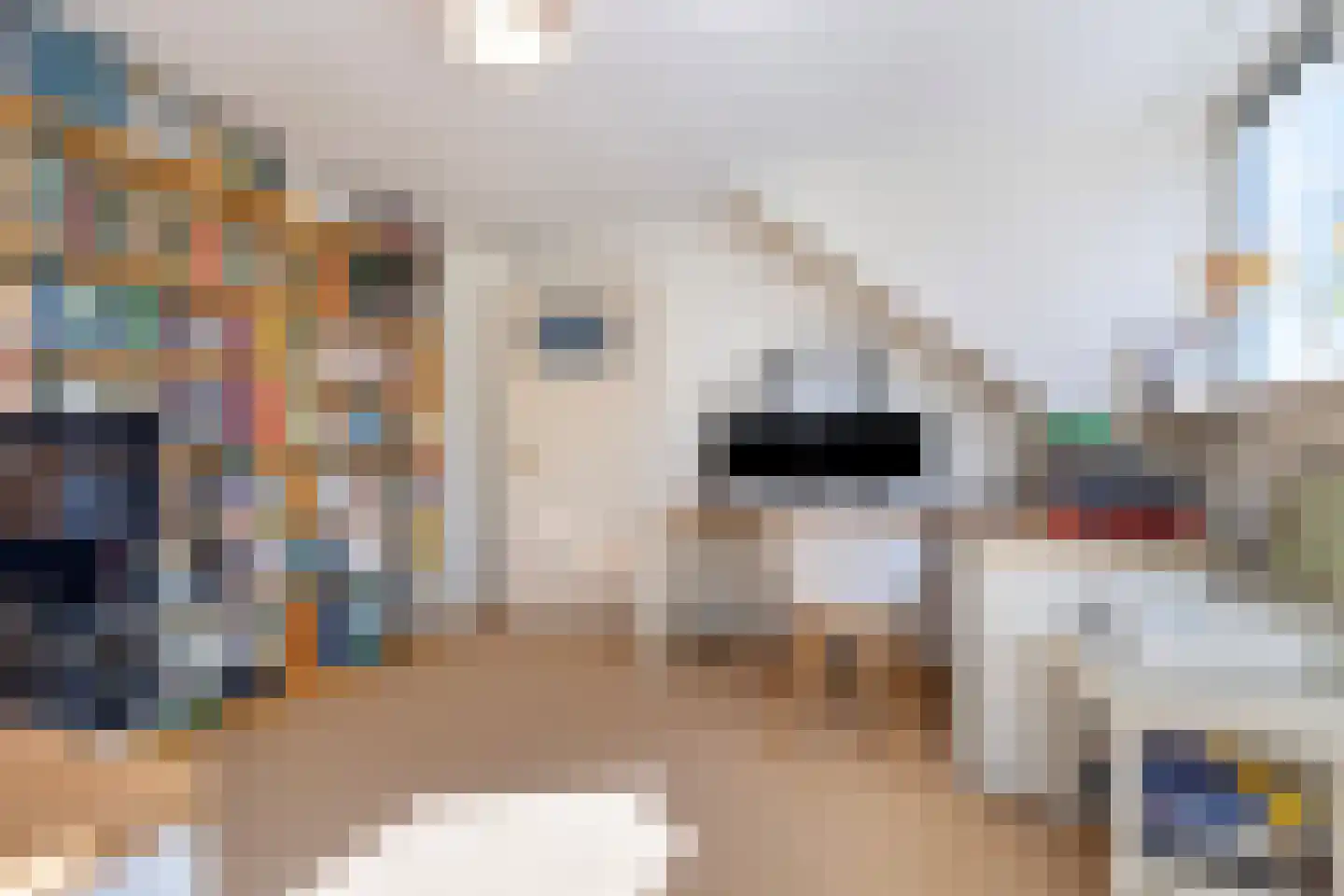 van Pabstlaan 7 Voorburg thumbnail 31