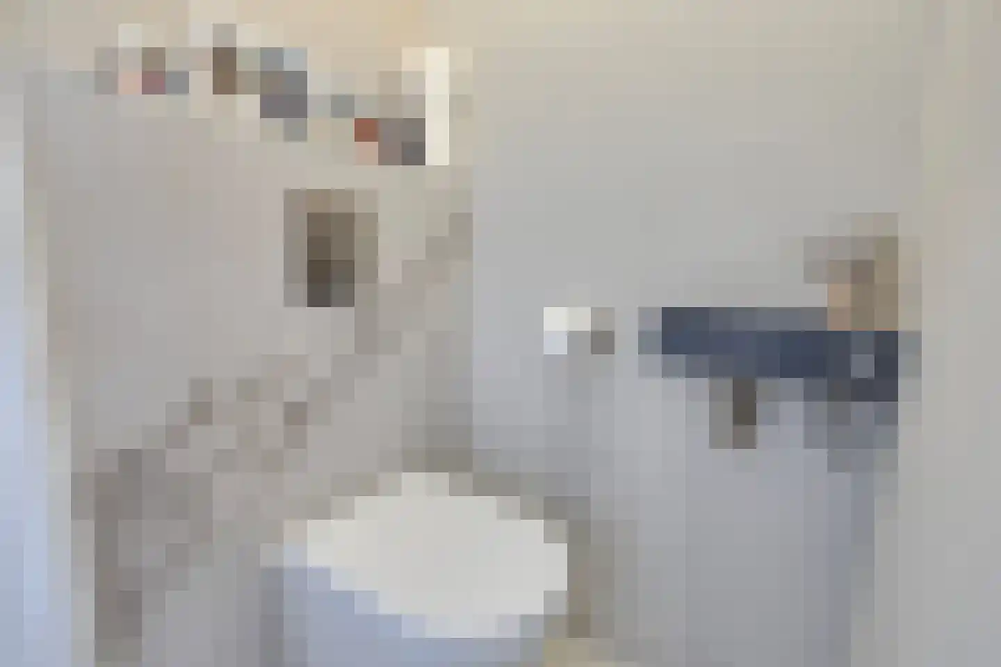 van Pabstlaan 7 Voorburg thumbnail 32