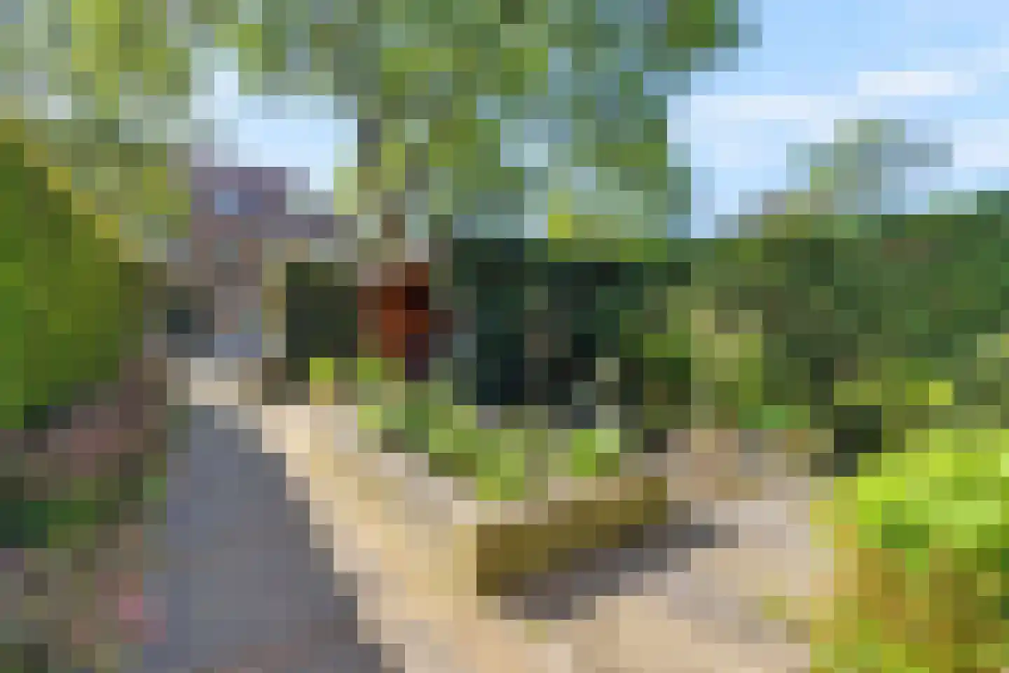 van Pabstlaan 7 Voorburg thumbnail 4