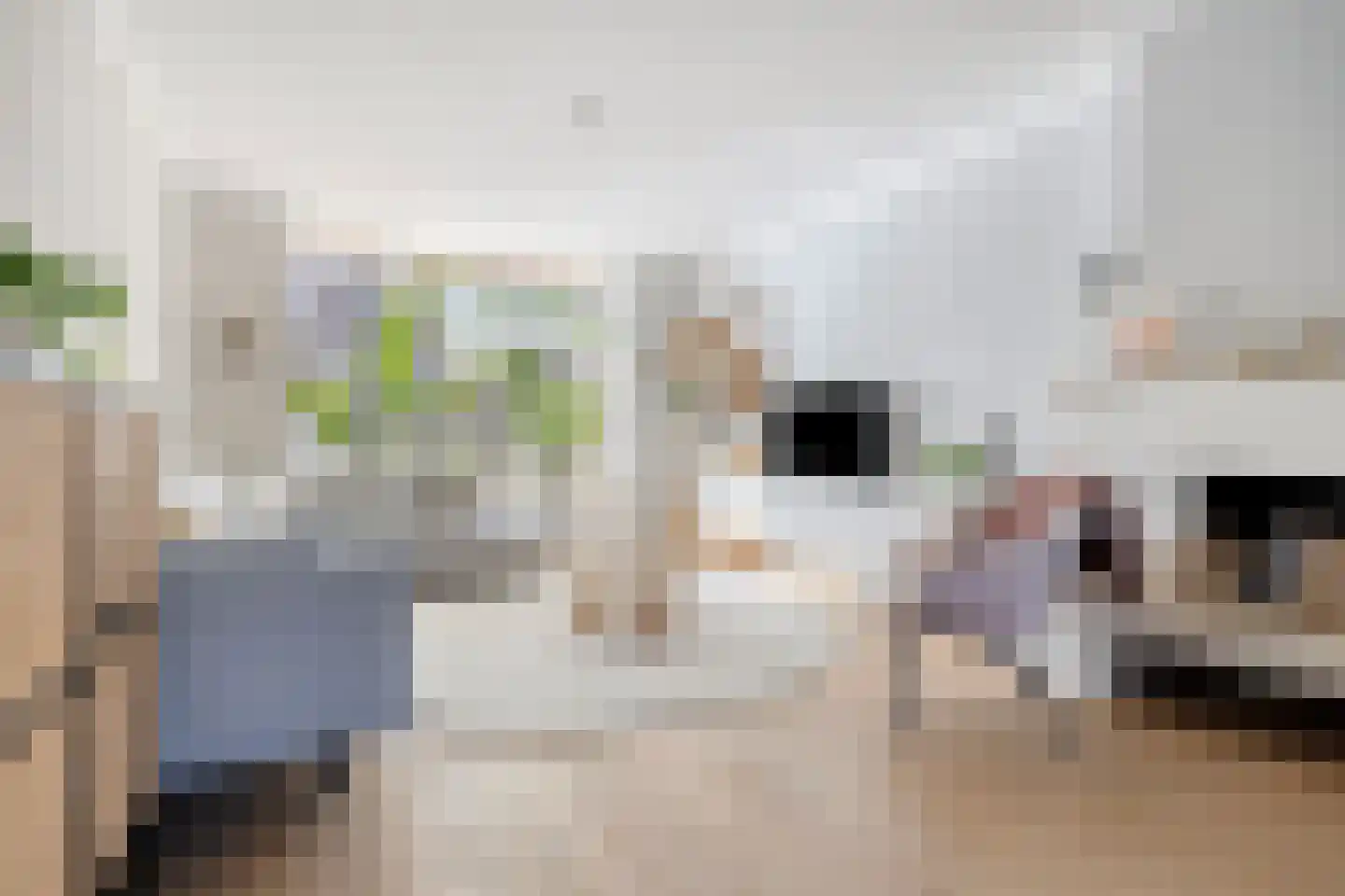 van Pabstlaan 7 Voorburg thumbnail 5