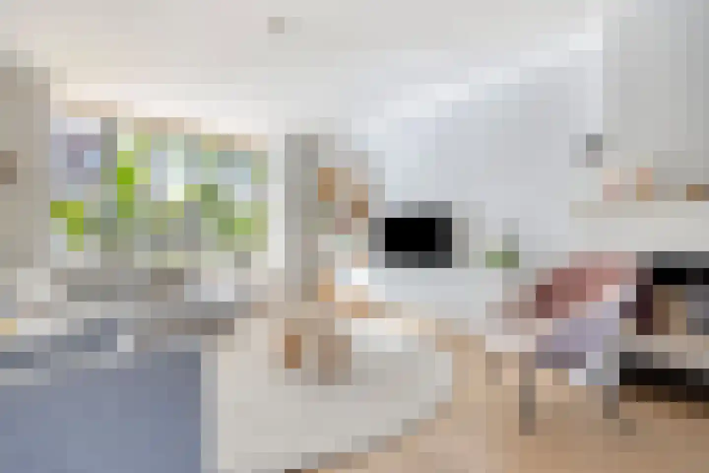 van Pabstlaan 7 Voorburg thumbnail 6