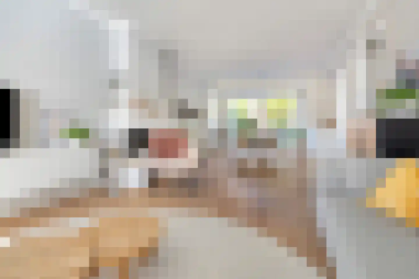 van Pabstlaan 7 Voorburg thumbnail 7