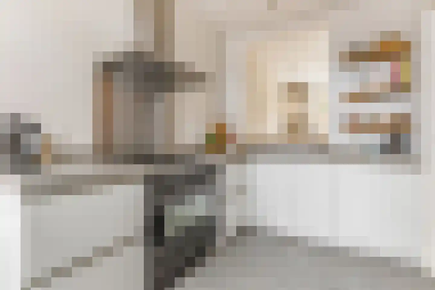 Van Paesschenstraat 1 's-Hertogenbosch thumbnail 19