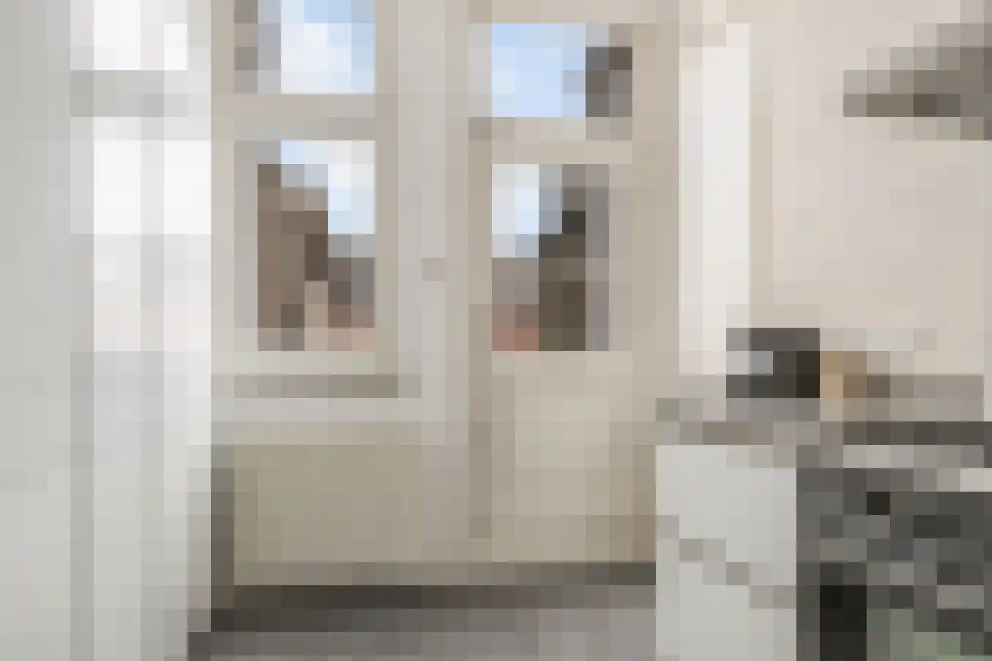 Van Paesschenstraat 1 's-Hertogenbosch thumbnail 22