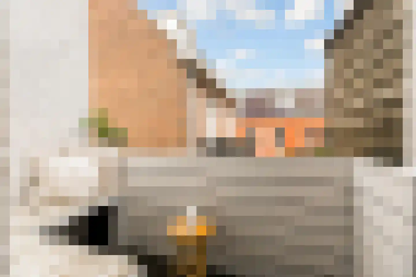 Van Paesschenstraat 1 's-Hertogenbosch thumbnail 23