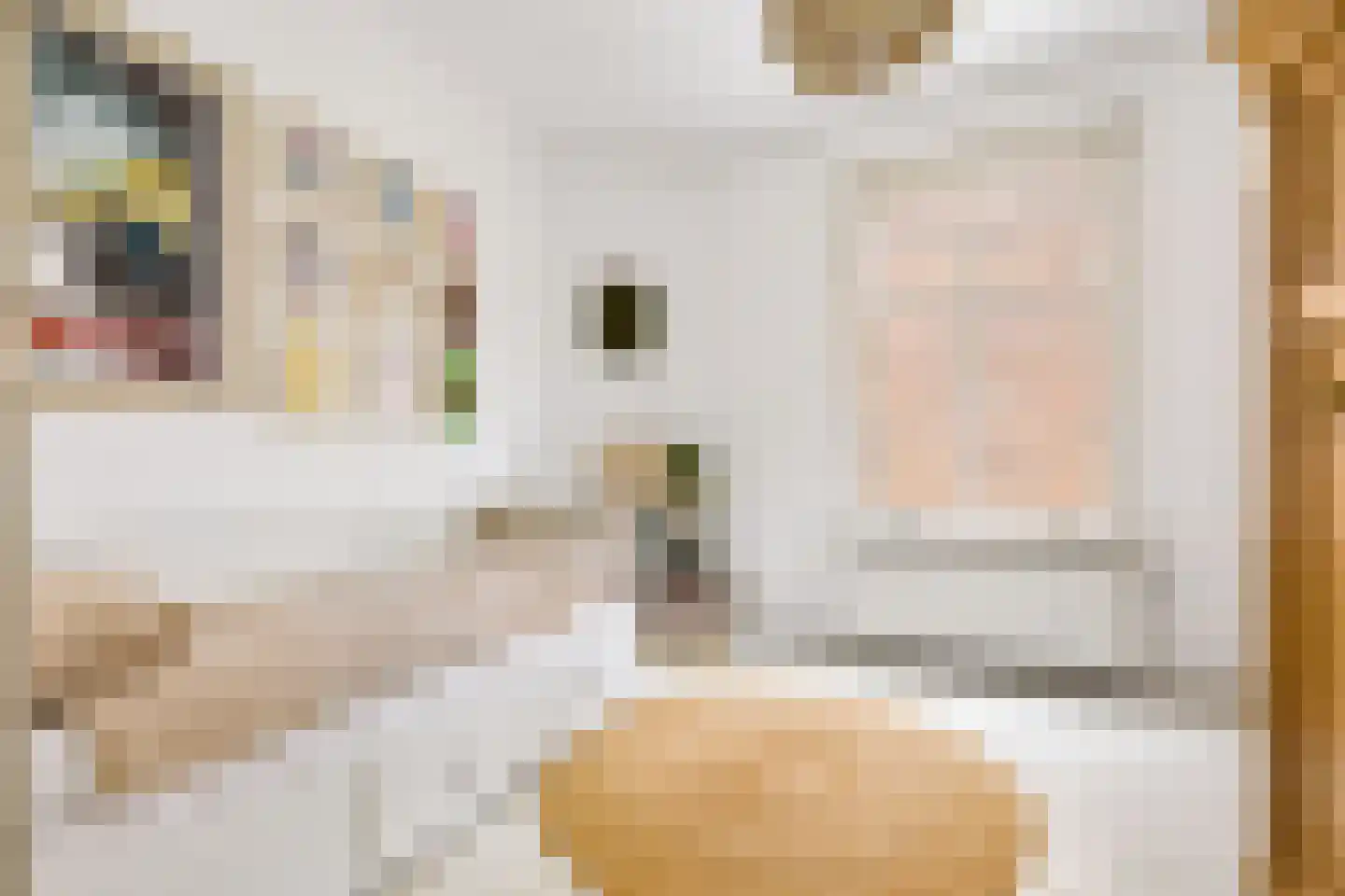Van Paesschenstraat 1 's-Hertogenbosch thumbnail 34