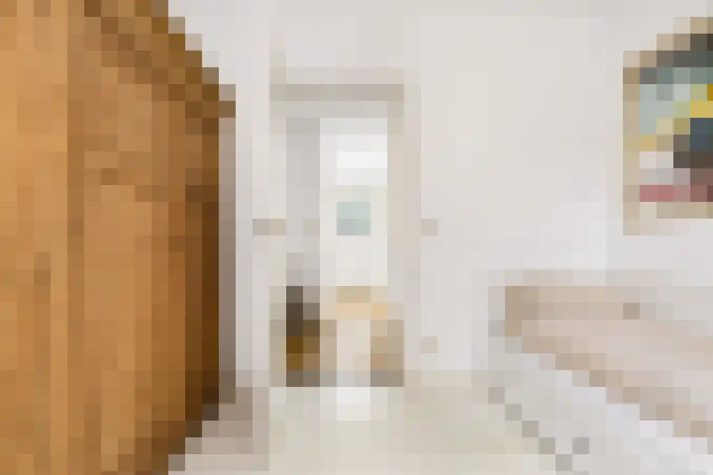 Van Paesschenstraat 1 's-Hertogenbosch thumbnail 36