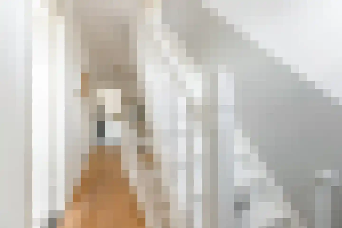 Van Paesschenstraat 1 's-Hertogenbosch thumbnail 37