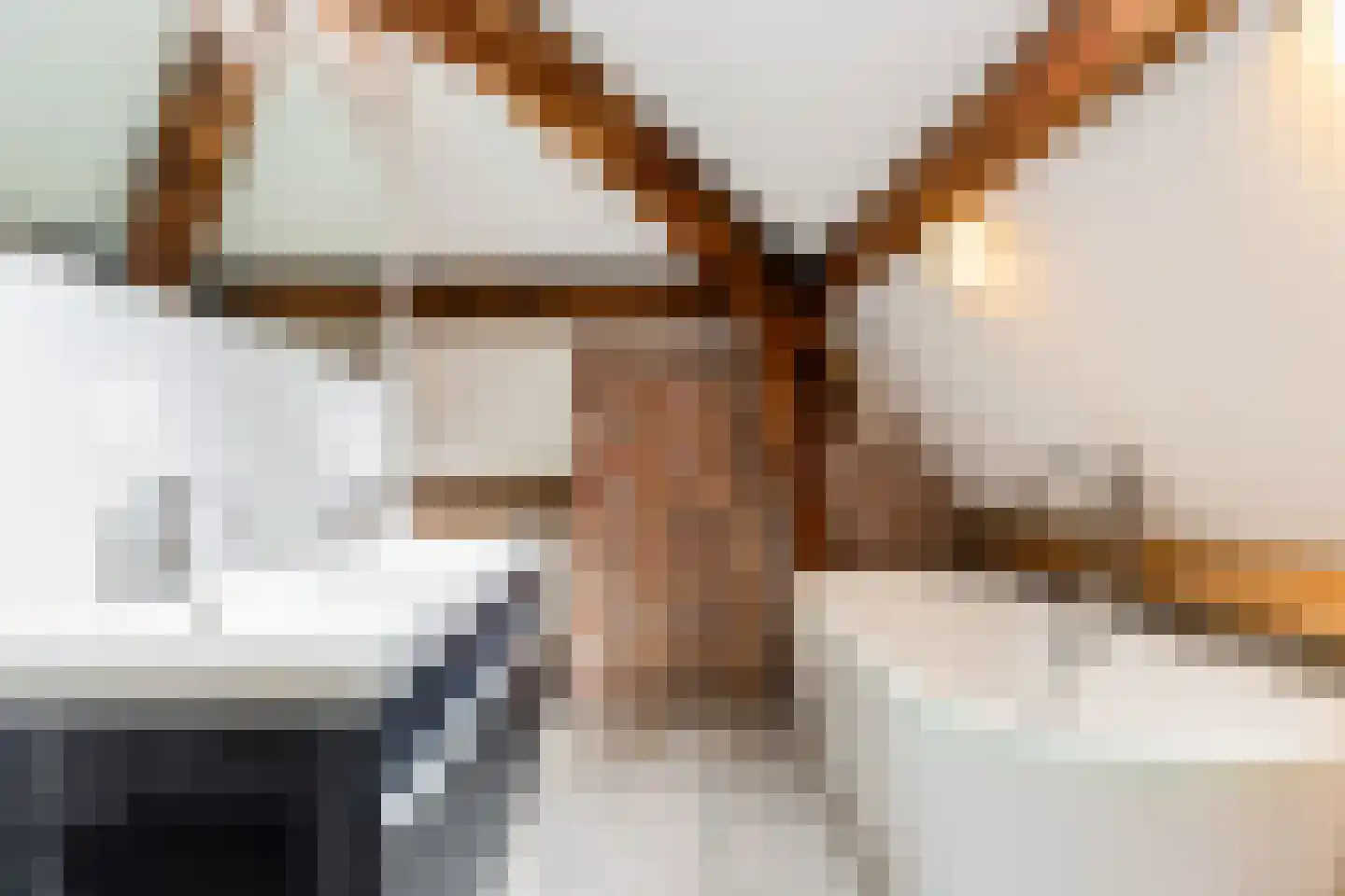 Van Paesschenstraat 1 's-Hertogenbosch thumbnail 4