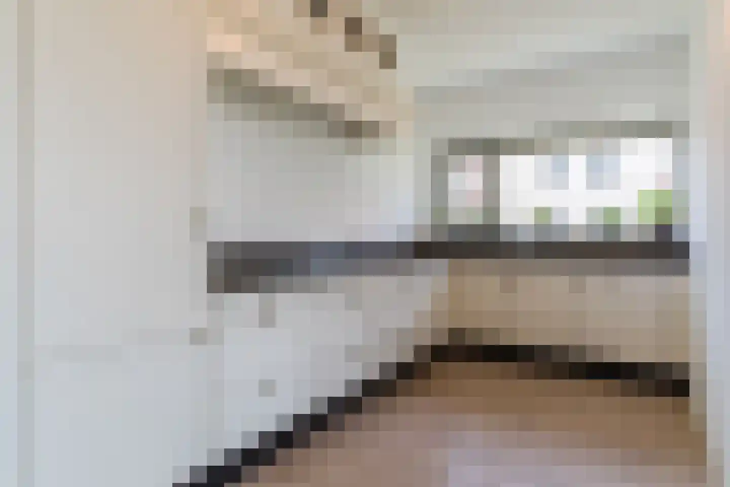 van Pallandtdreef 11 Culemborg thumbnail 19