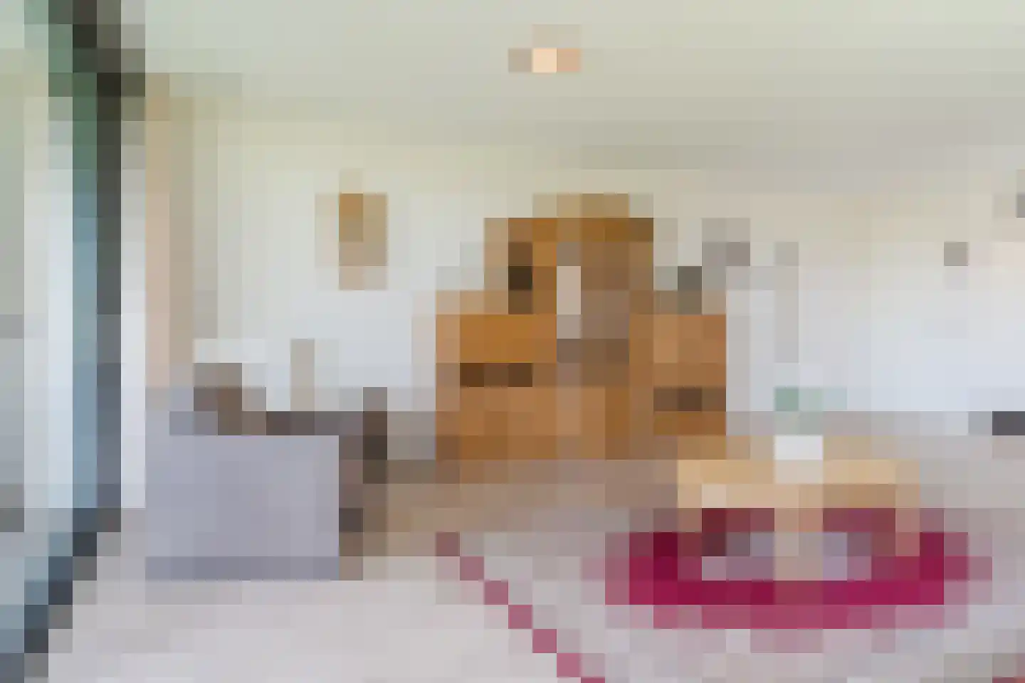 van Pallandtdreef 11 Culemborg thumbnail 26