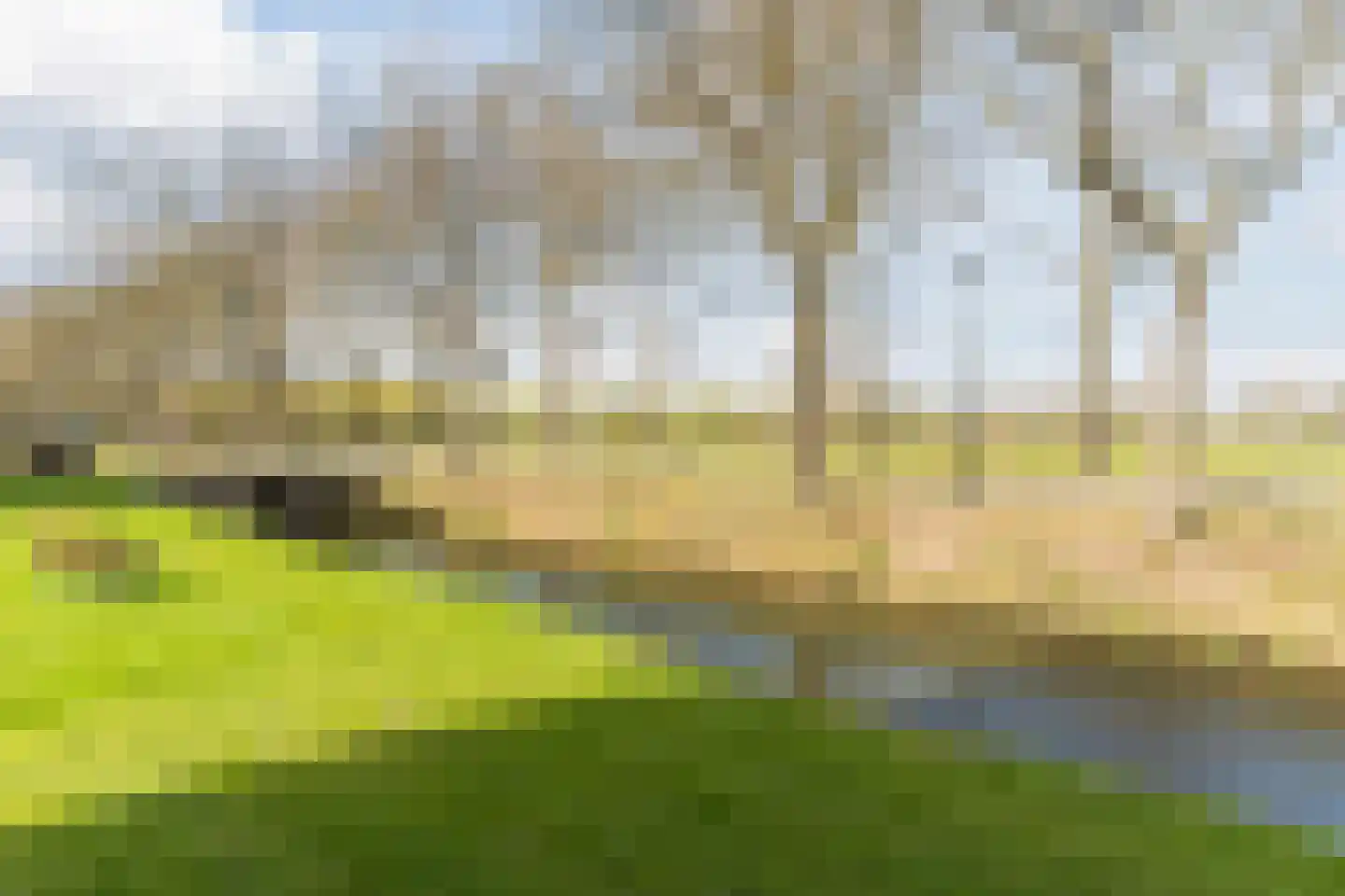van Pallandtdreef 11 Culemborg thumbnail 29