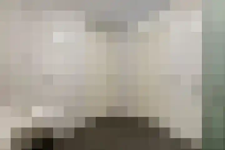 van Pallandtdreef 16 Culemborg thumbnail 13